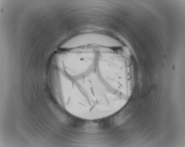 X0000082730257200702232354