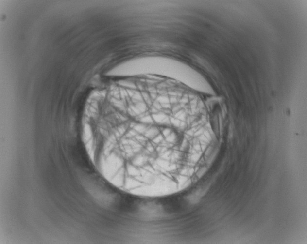 X0000082730258200702232354