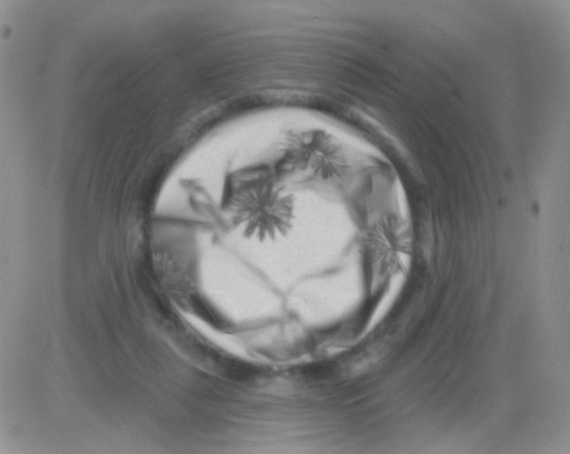 X0000082730259200702232354