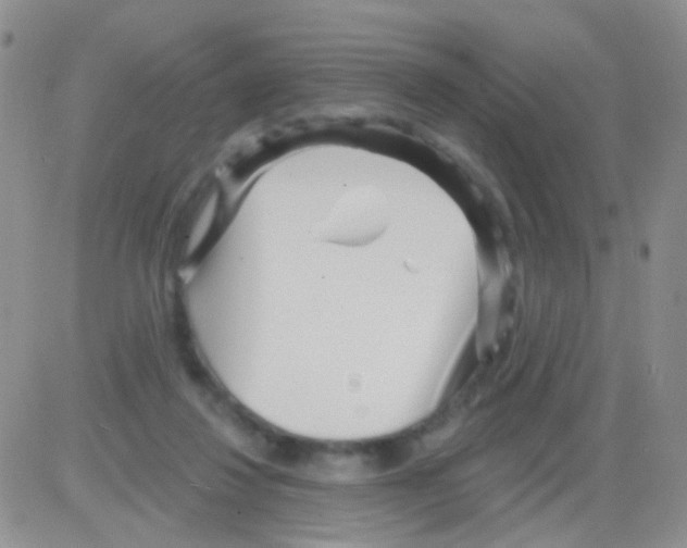 X0000082730260200702232354