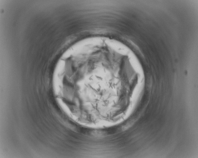 X0000082730261200702232354