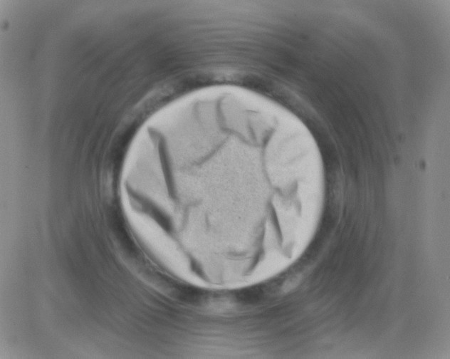 X0000082730262200702232354