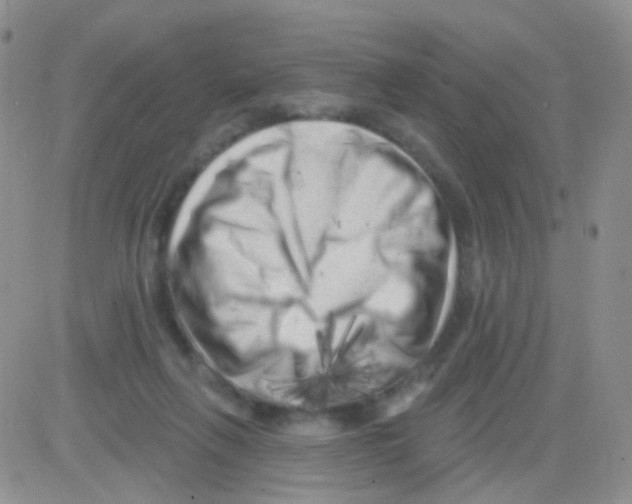 X0000082730263200702232354