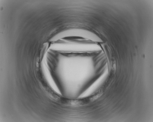 X0000082730264200702232354