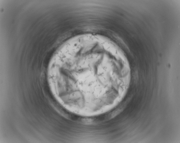 X0000082730265200702232354