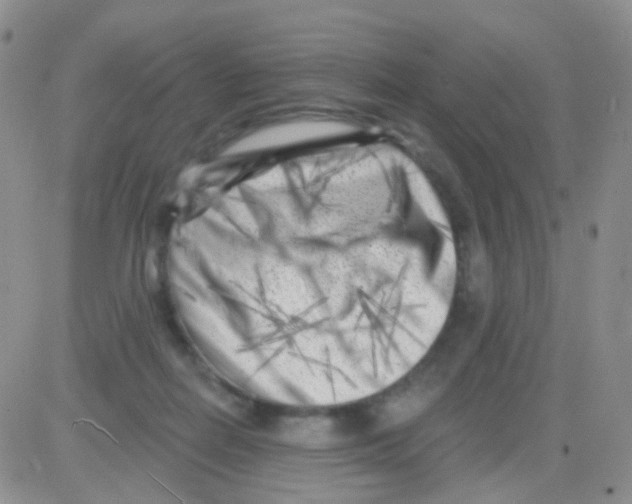 X0000082730266200702232354