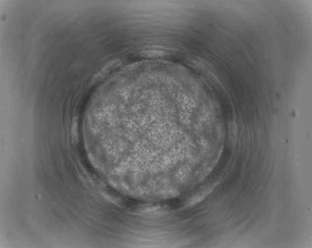 X0000082730267200702232354