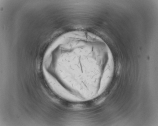 X0000082730268200702232355