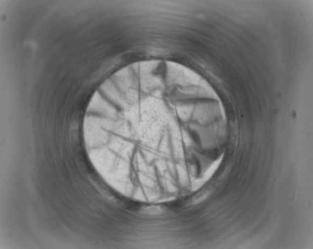 X0000082730269200702232355