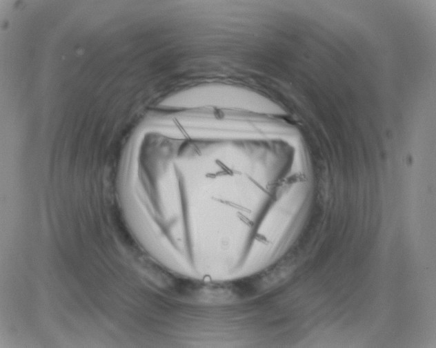 X0000082730270200702232355