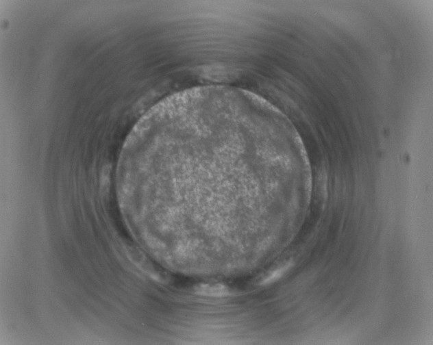 X0000082730271200702232355