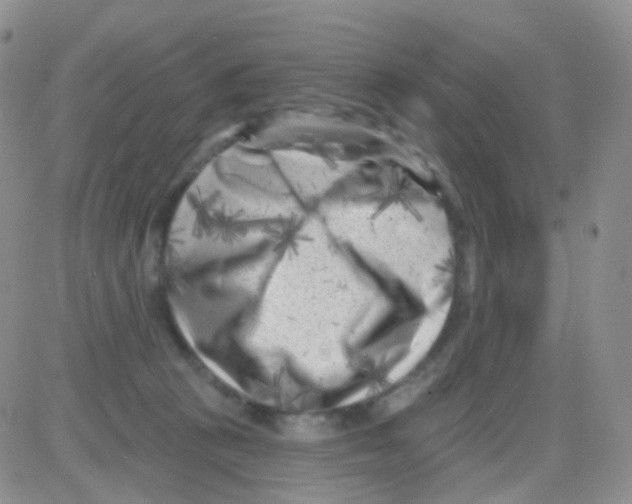 X0000082730273200702232355