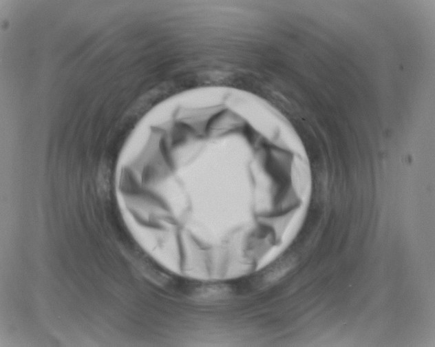 X0000082730274200702232355