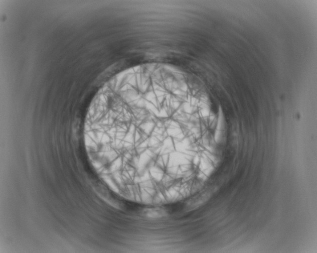 X0000082730275200702232355