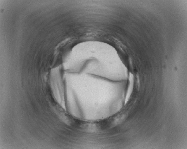 X0000082730276200702232355