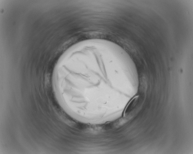 X0000082730278200702232355