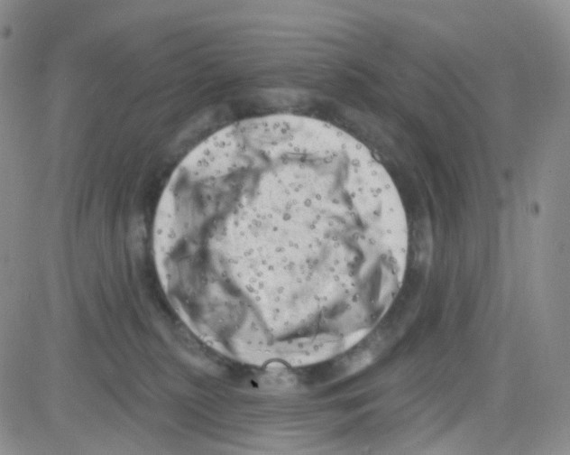 X0000082730279200702232355