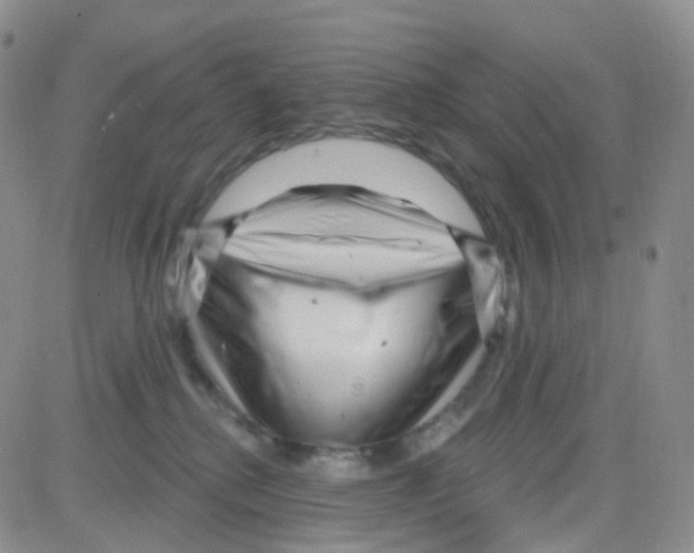 X0000082730280200702232355