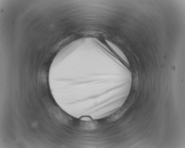 X0000082730282200702232355