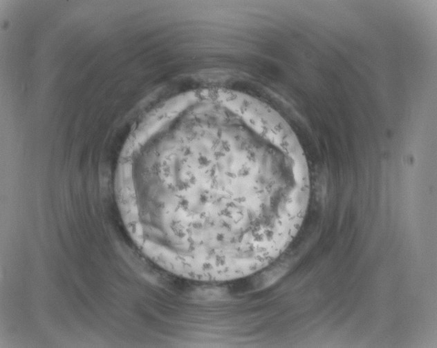 X0000082730283200702232355