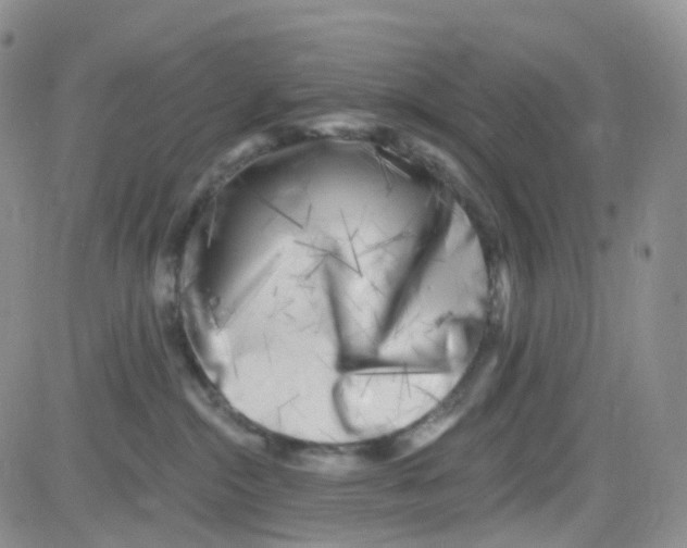 X0000082730284200702232355