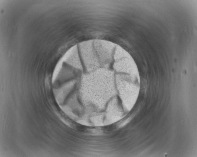 X0000082730286200702232355