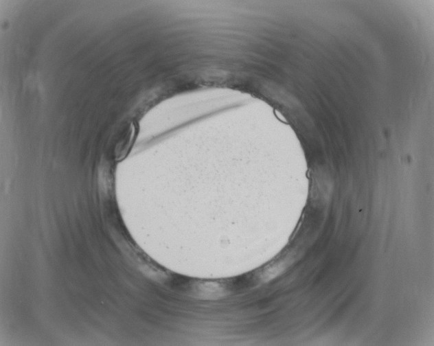 X0000082730287200702232355