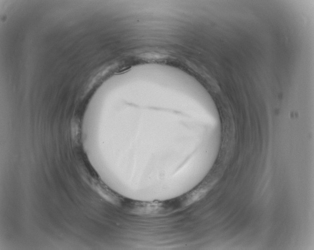 X0000082730288200702232355