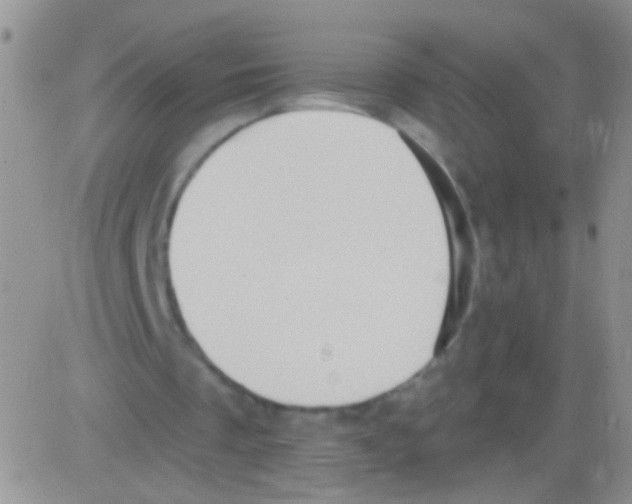 X0000082730289200702232354