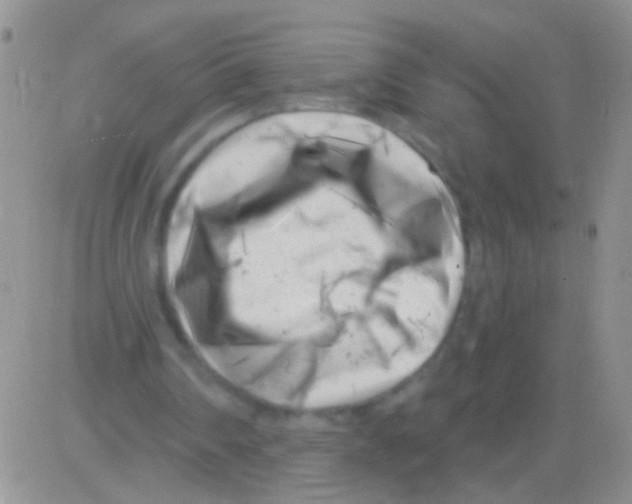 X0000082730290200702232354