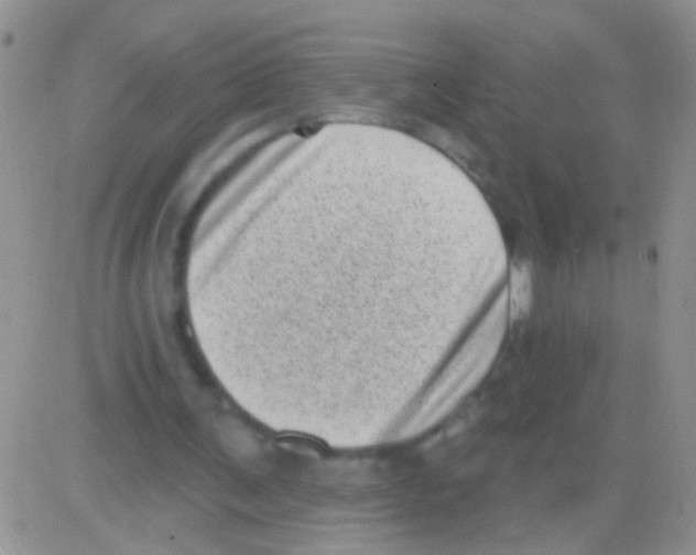 X0000082730291200702232354