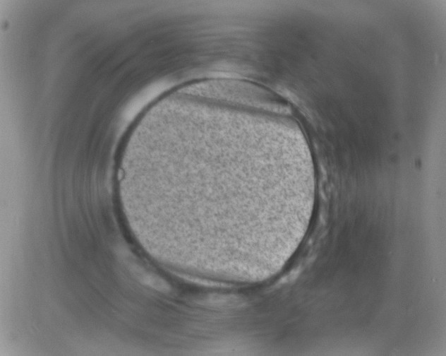 X0000082730292200702232354