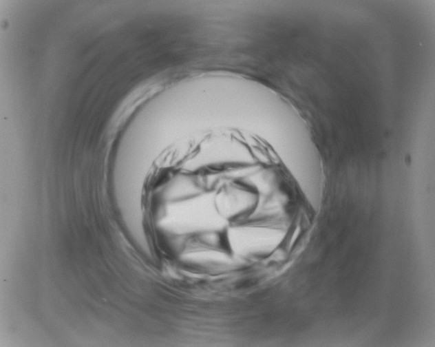 X0000082730293200702232354