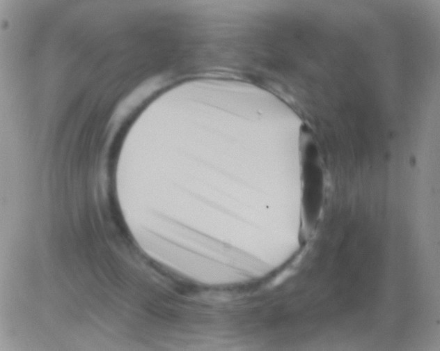 X0000082730294200702232354