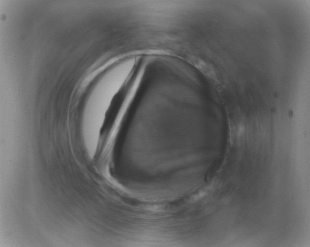 X0000082730295200702232354