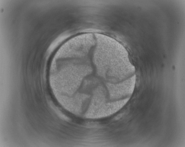 X0000082730296200702232354