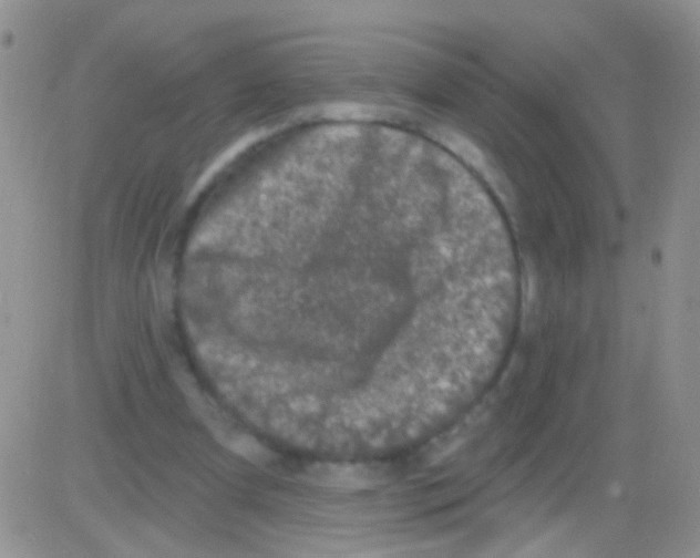 X0000082730297200702232354