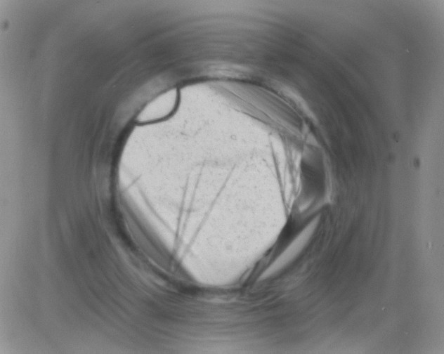 X0000082730299200702232354