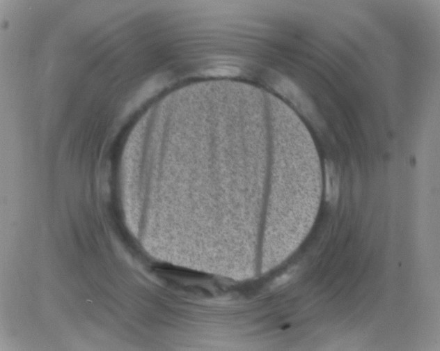 X0000082730300200702232354