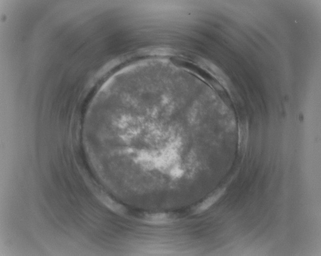 X0000082730301200702232354