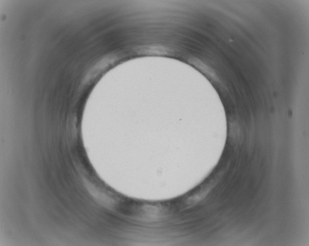 X0000082730302200702232354