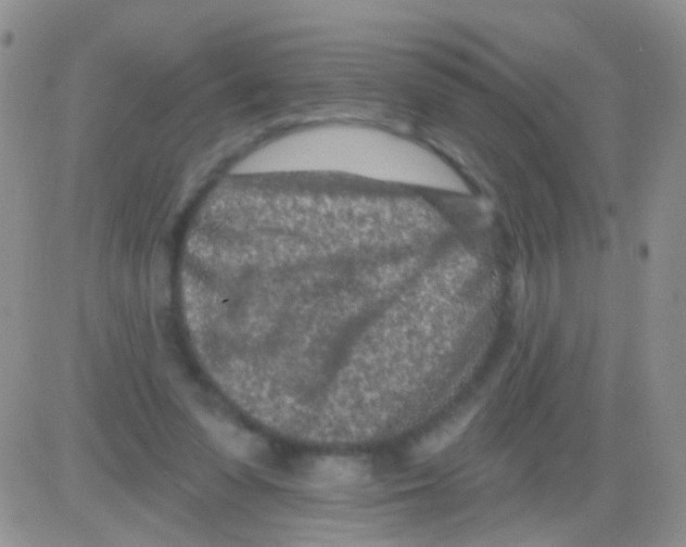 X0000082730303200702232354