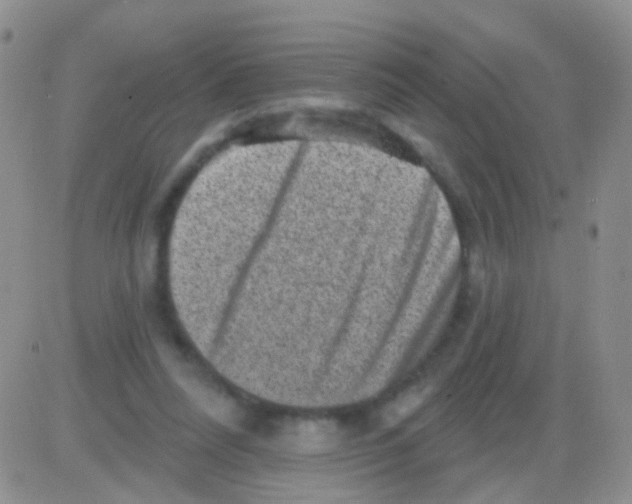 X0000082730304200702232354