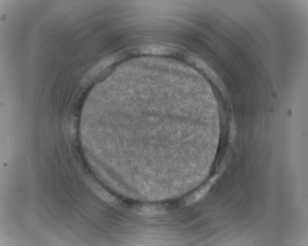 X0000082730305200702232354