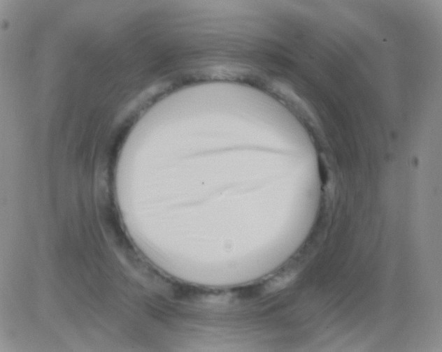 X0000082730306200702232354