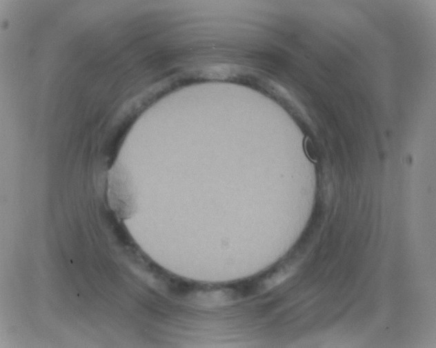 X0000082730307200702232354