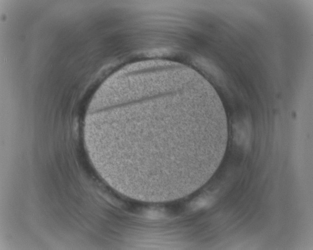 X0000082730308200702232354