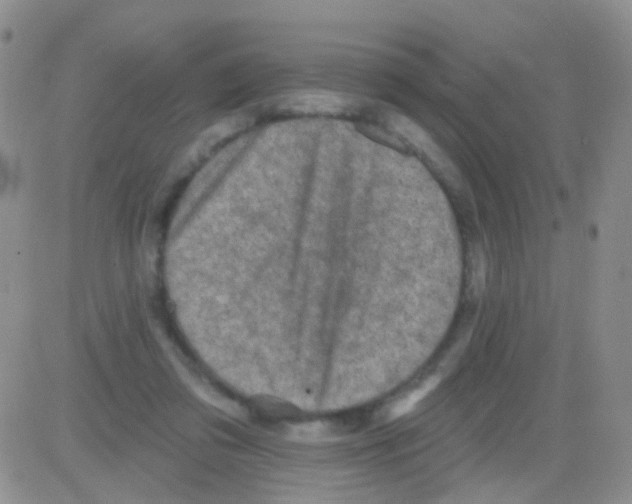 X0000082730309200702232354