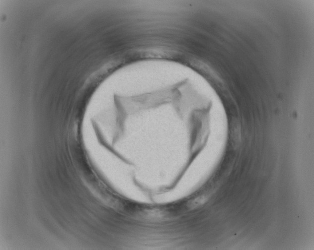 X0000082730310200702232354