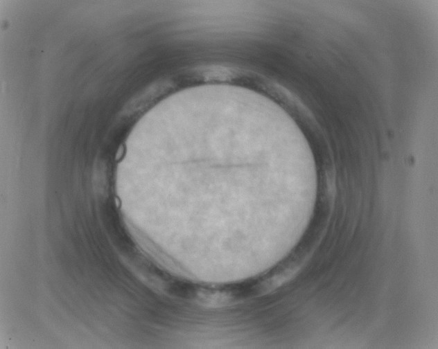 X0000082730311200702232354